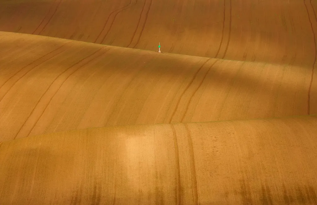 variation-des-prix-des-terrains